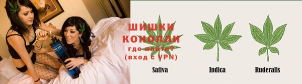 соль ск Алзамай